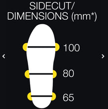 画像をギャラリービューアに読み込む, 【SIDAS】マルチプラス