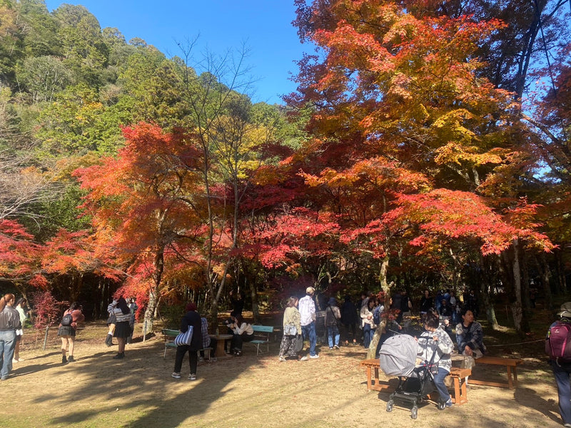 第219回　楽ちんウォーク