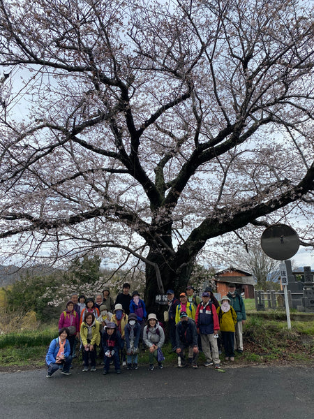 第189回　楽ちんウォーク