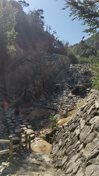 「弥山」ウォーキング