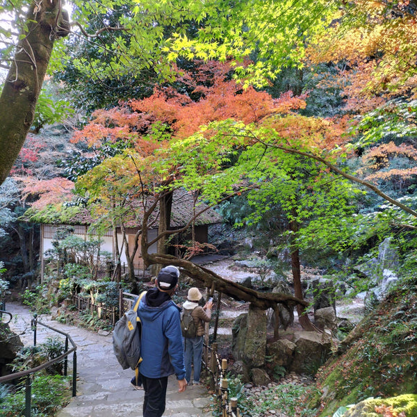第2回　楽ちんウォーク番外編「三滝寺を再認識しよう」