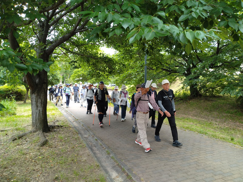 第216回　楽ちんウォーク