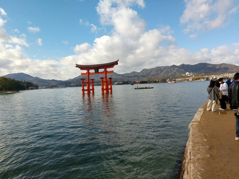 第186回　楽ちんウォーク