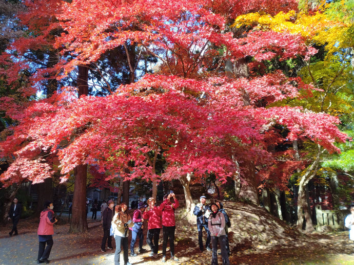 番外編　バスツアー「世羅・今高野山」