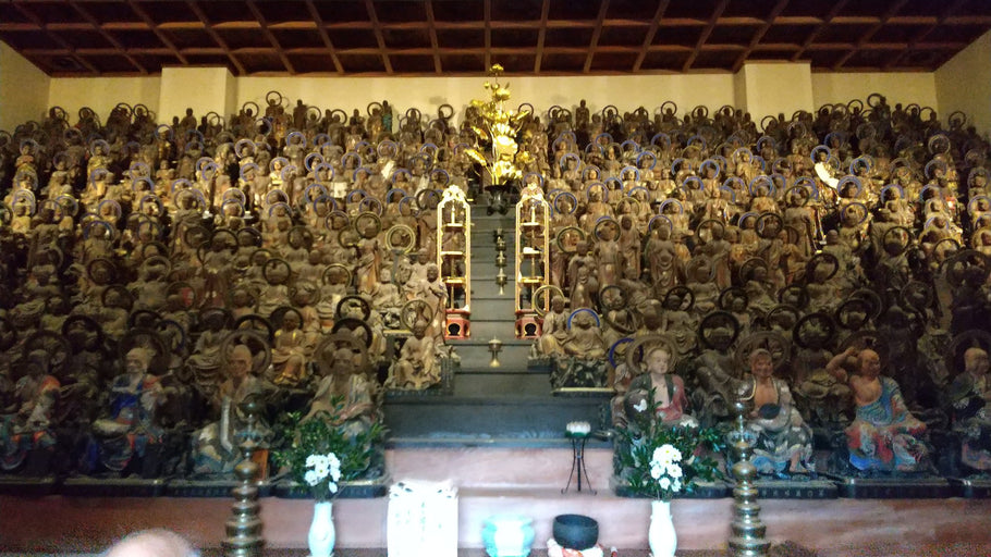 第175回　楽ちんウォーク