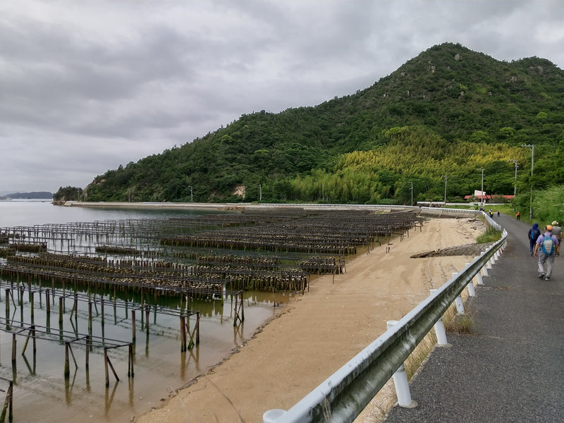 第191回　楽ちんウォーク