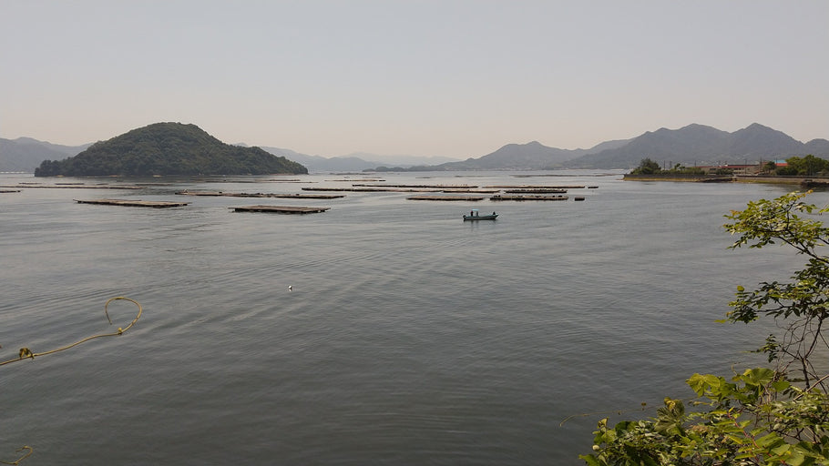 第167回　楽ちんウォーク