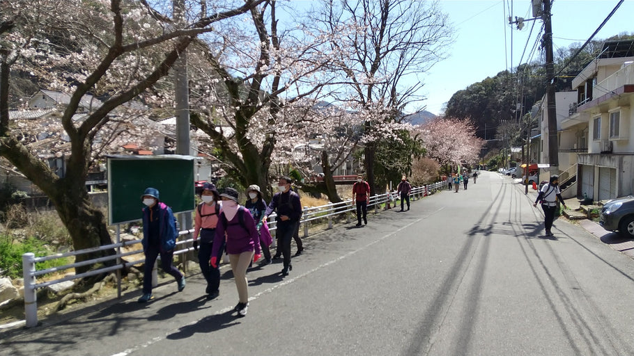 第177回　楽ちんウォーク