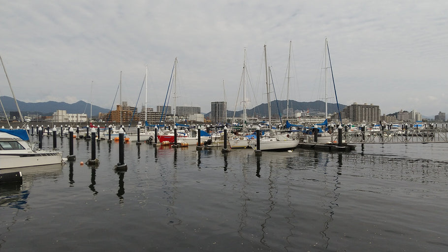 第171回　楽ちんウォーク