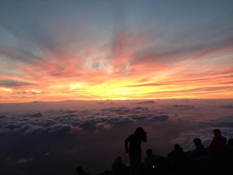 久しぶりの投稿です。
