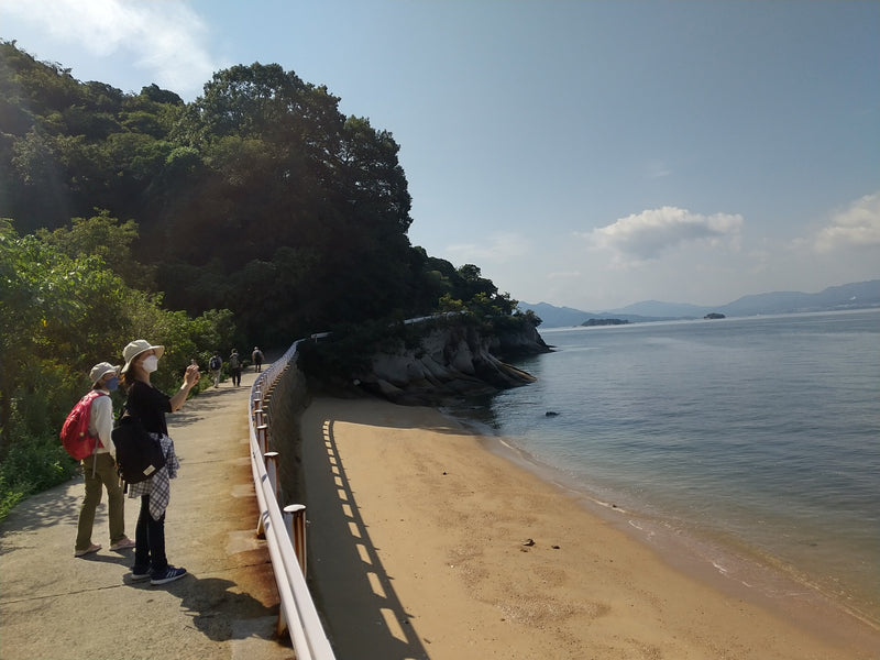 第184回　楽ちんウォーク