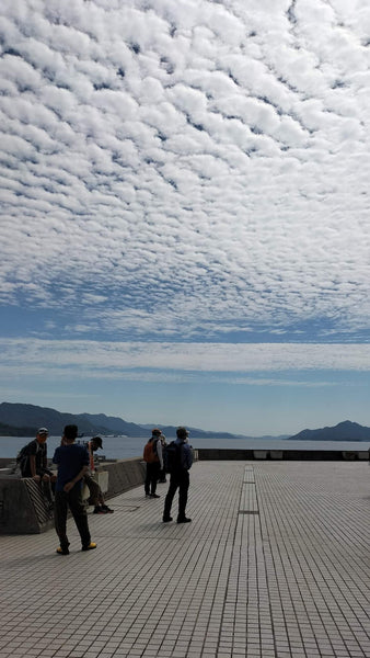 第183回　楽ちんウォーク