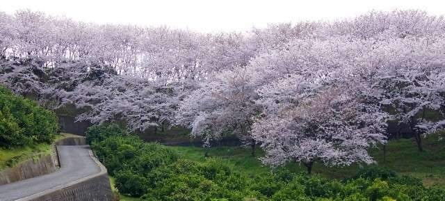 第165回　楽ちんウォーク