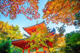 12月3日　楽ちんウォーク番外編「三滝寺を知ろう」のお知らせ